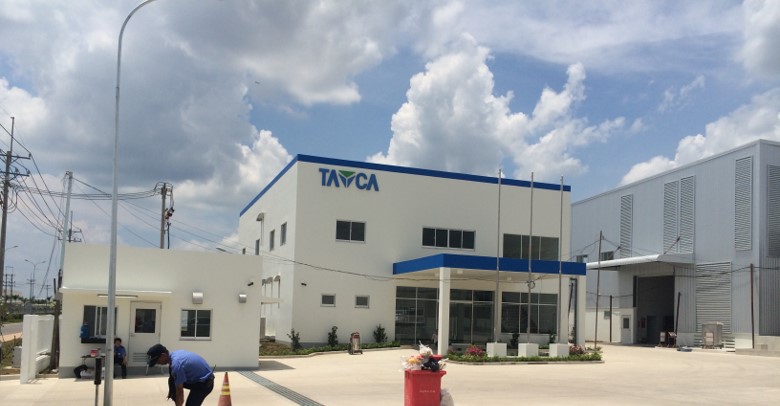 tayca-02